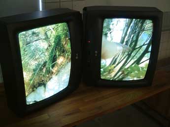 Skogskyrkogården 2006 (Video)